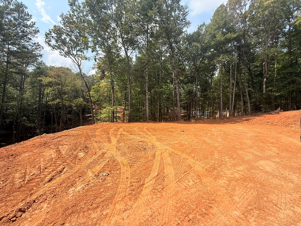 2.72 ac Lower Tails Creek Road