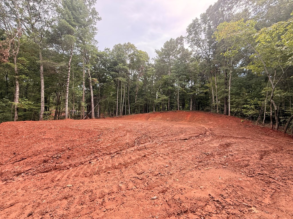 2.72 ac Lower Tails Creek Road