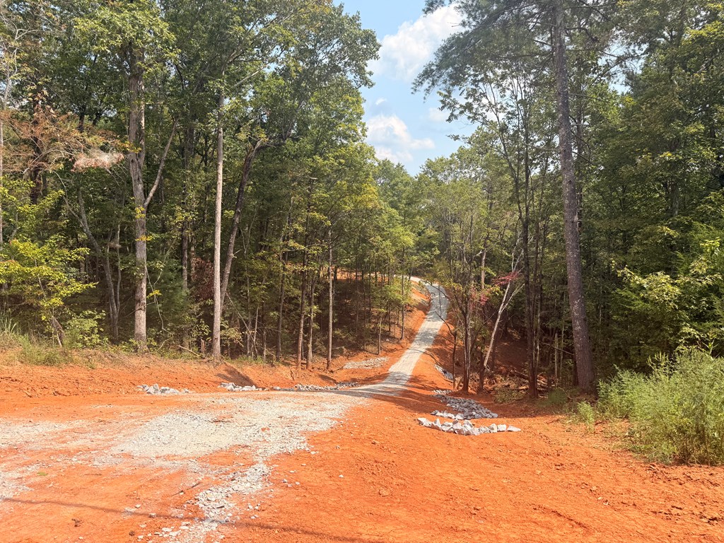 2.72 ac Lower Tails Creek Road