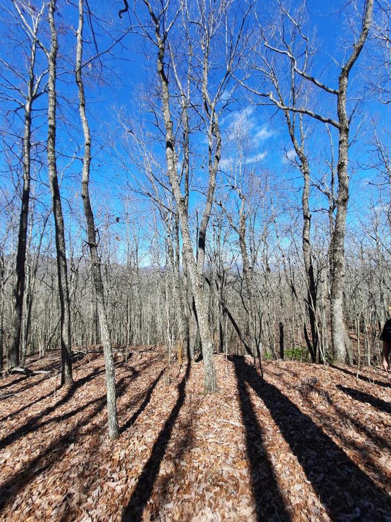 Lot # 7 Quail Run Ridge