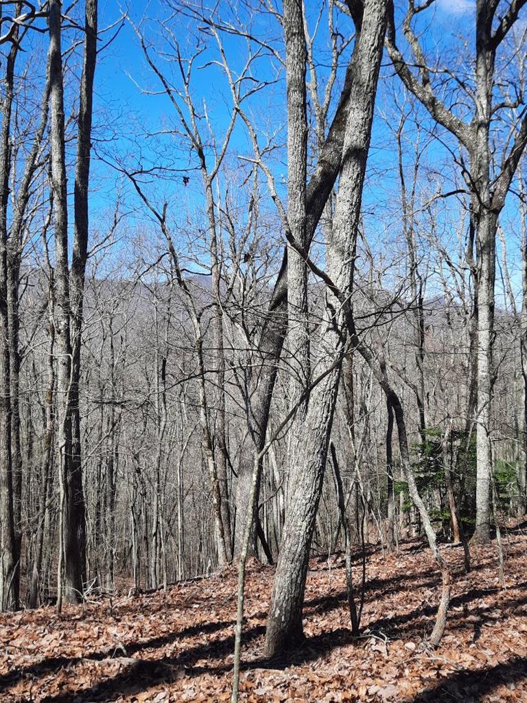 Lot # 7 Quail Run Ridge