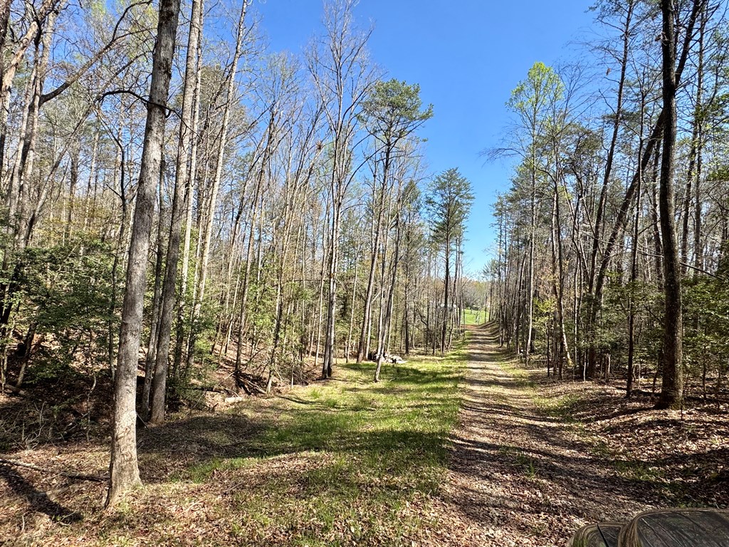 3 Acres Trails End Road