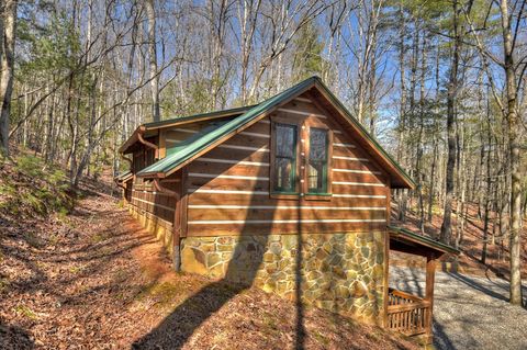 A home in Blue Ridge