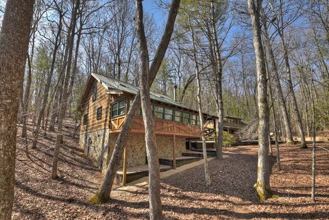 A home in Blue Ridge