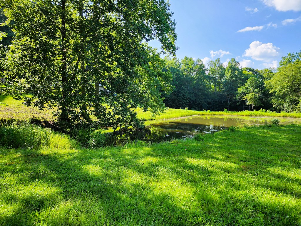 00 Eagle Fork Road
