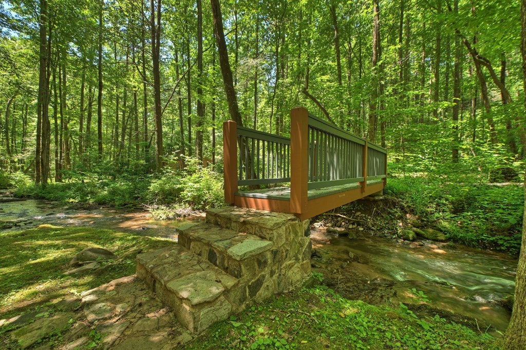 373 Barnes Creek Drive