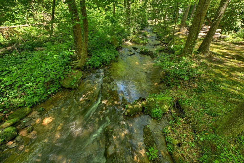373 Barnes Creek Drive