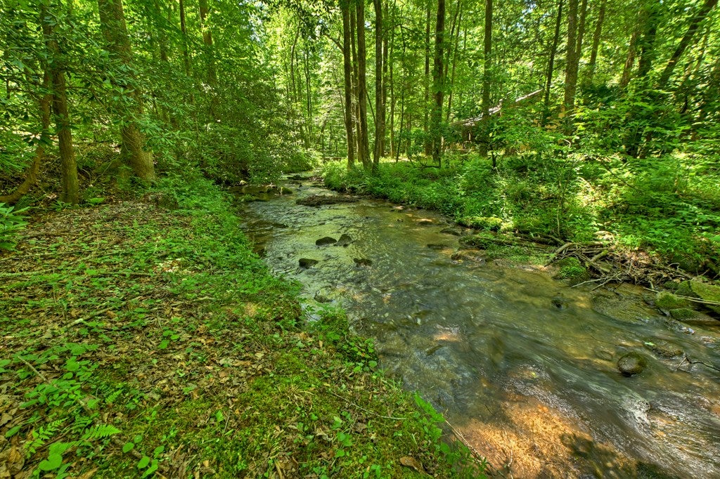 373 Barnes Creek Drive