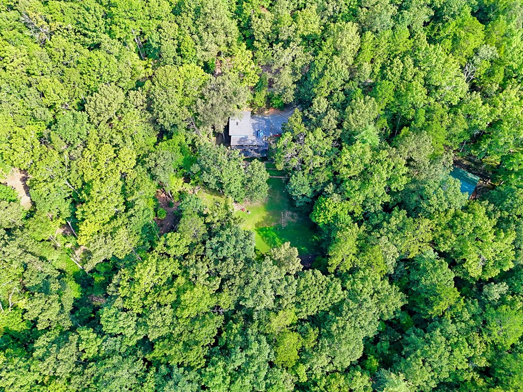 773 Rolling Oaks Road