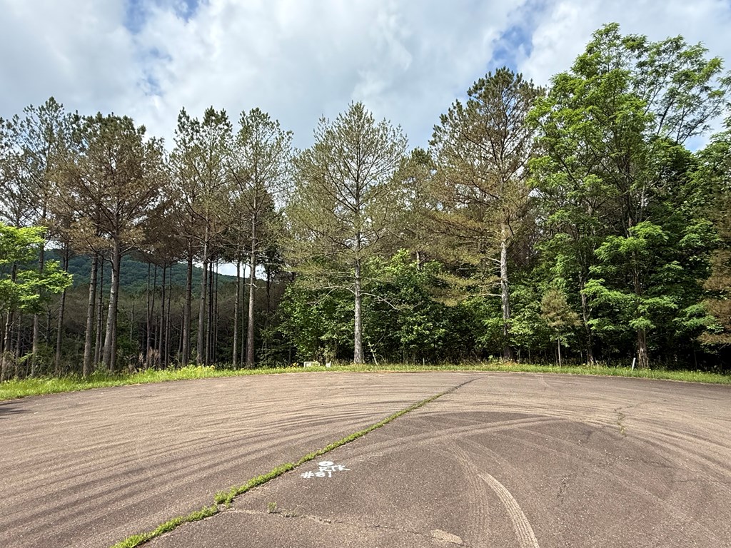 Lot 9 Eastview Trail