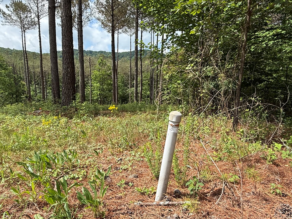 Lot 9 Eastview Trail