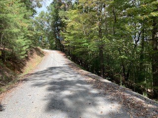 Lot 21 Vista Chalet Drive