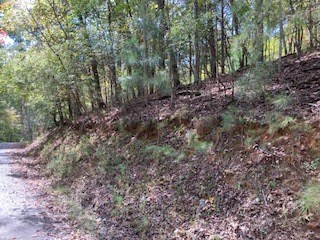 Lot 21 Vista Chalet Drive