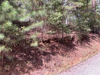 Lot 21 Vista Chalet Drive