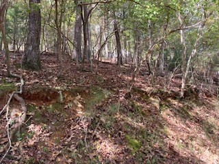 Lot 21 Vista Chalet Drive