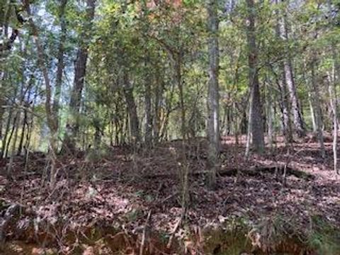 Lot 21 Vista Chalet Drive Ellijay GA 30540