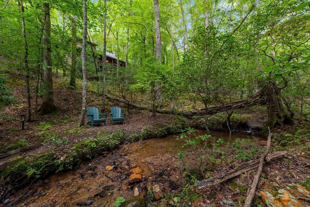421 Weeks Creek Road