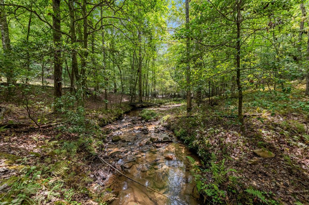 421 Weeks Creek Road