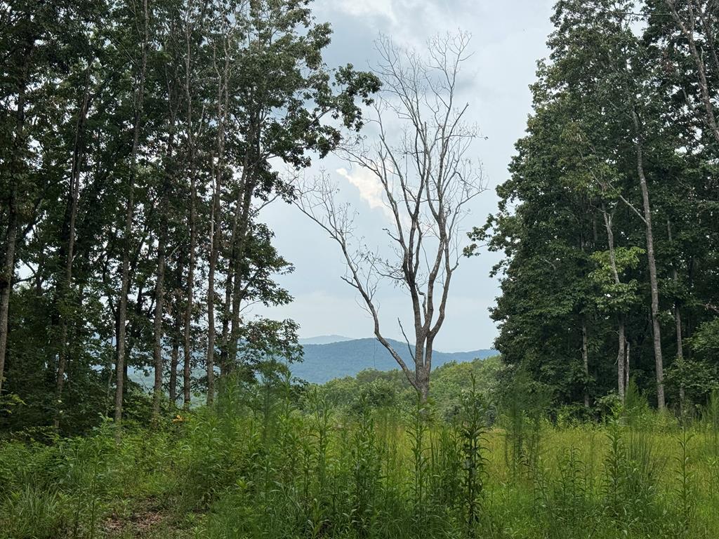 18 ACRES S Piney Spur Road S