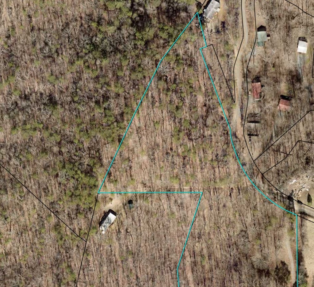 TR1TR3 Flat Branch Trail