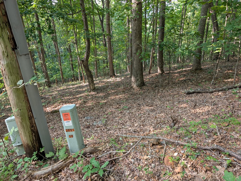 LOT 30 Rocky Knob Drive