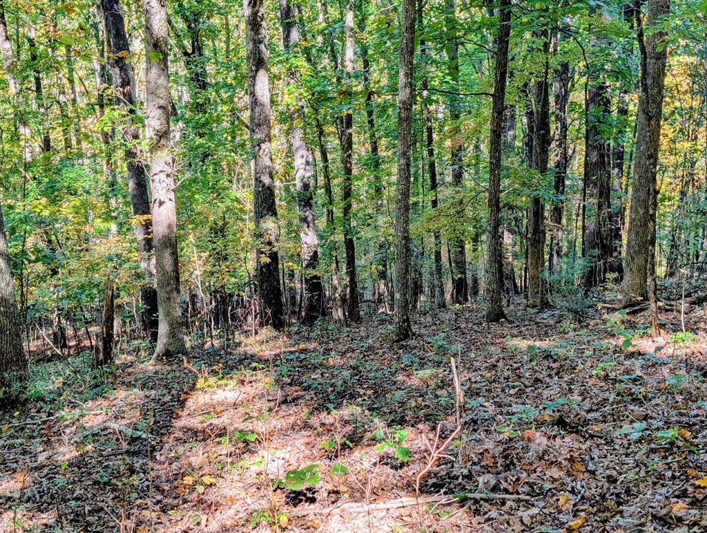 LOT 30 Rocky Knob Drive