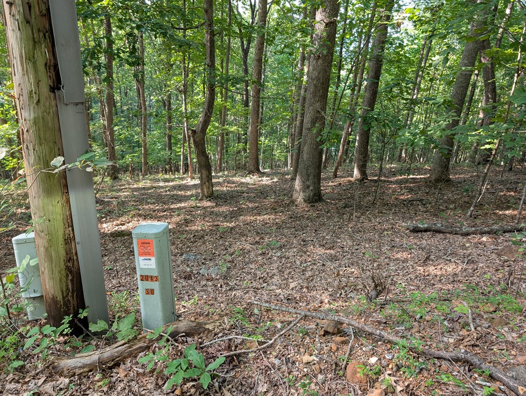 LOT 30 Rocky Knob Drive