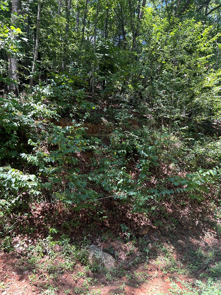 0 Skyview Acres Drive