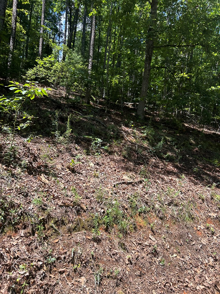 0 Skyview Acres Drive