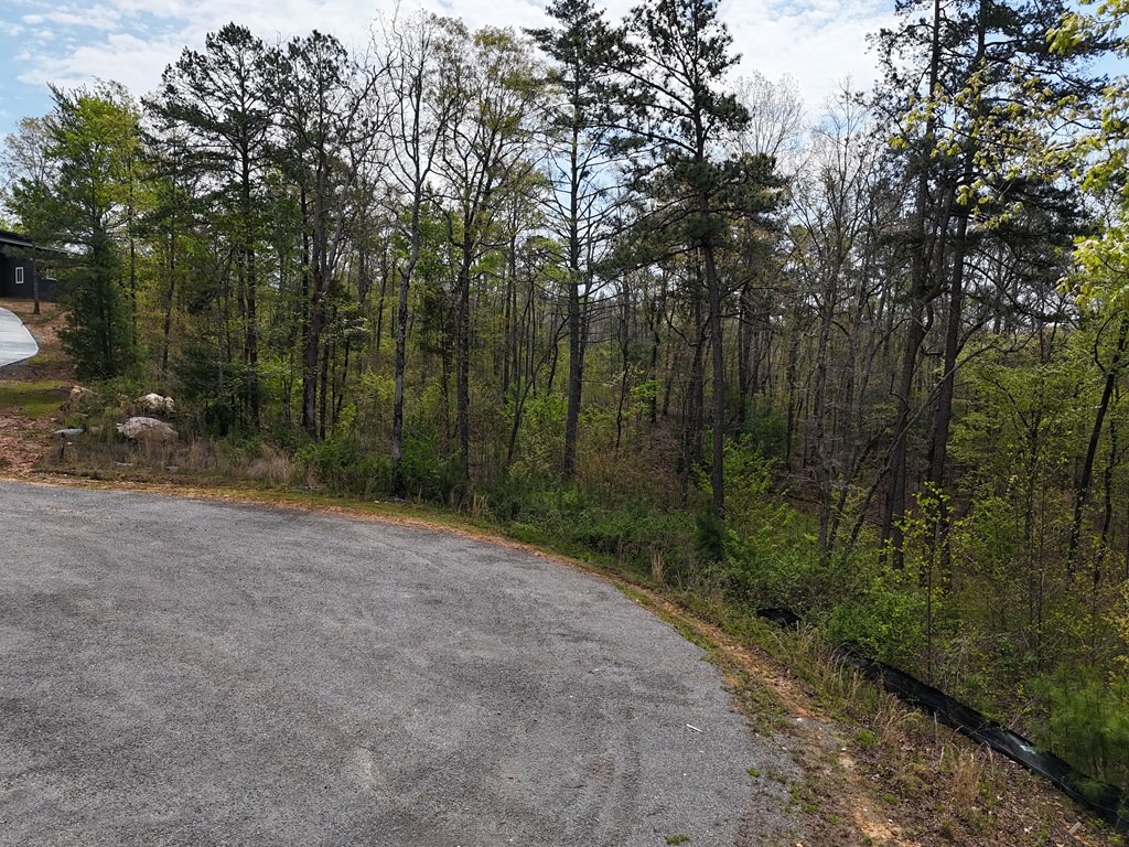 129 Red Hawk Lane
