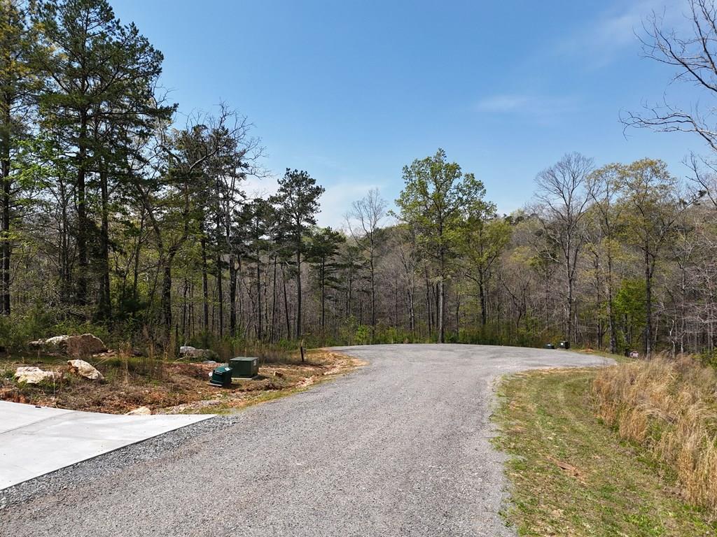 129 Red Hawk Lane