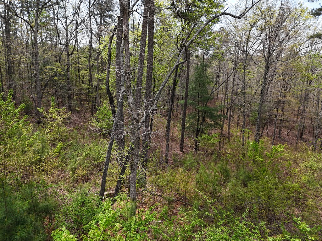 129 Red Hawk Lane