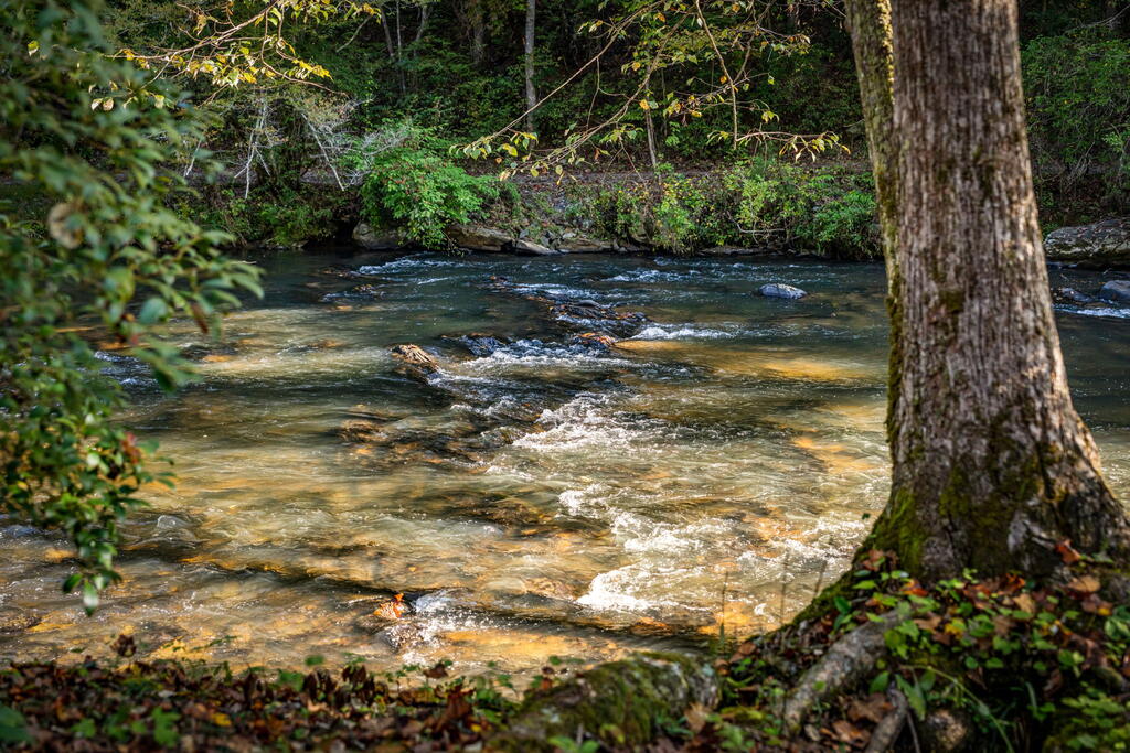Lot 7 Fish Tale Cove
