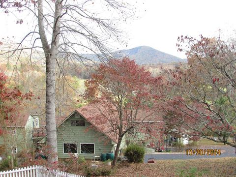 A home in Young Harris