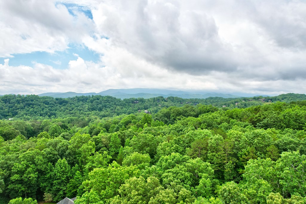 273 Oakawana Trail