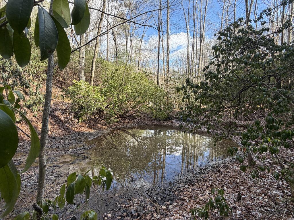 636 Bear Paw Trail