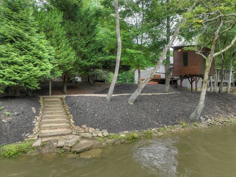 A home in Mineral Bluff