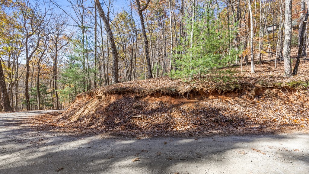 LOT 56 Heards Ridge Road