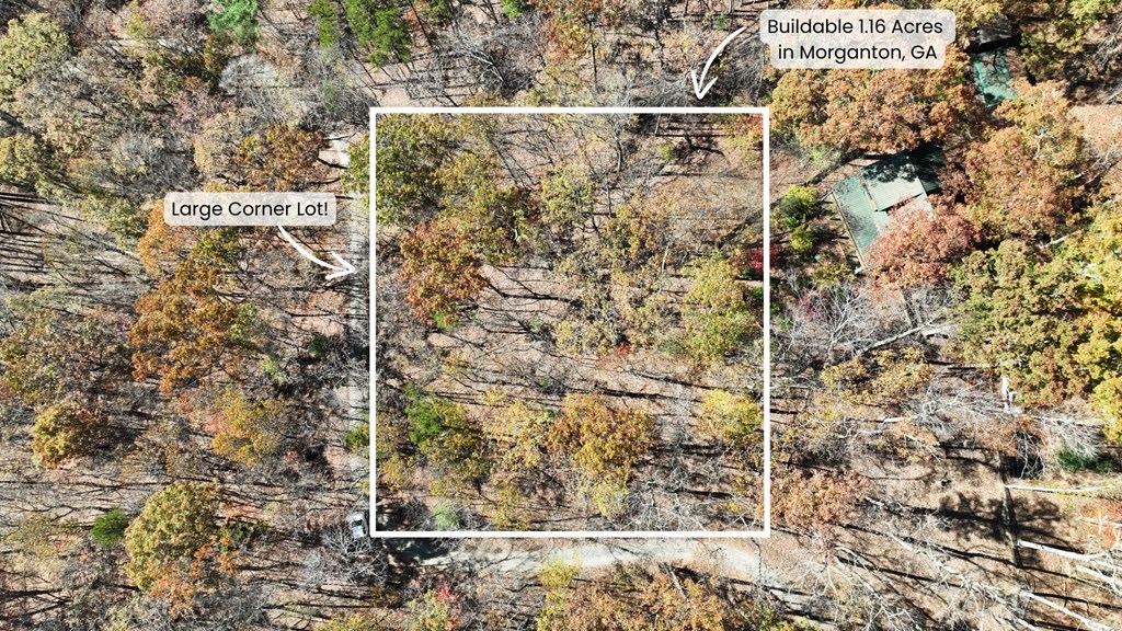 LOT 56 Heards Ridge Road