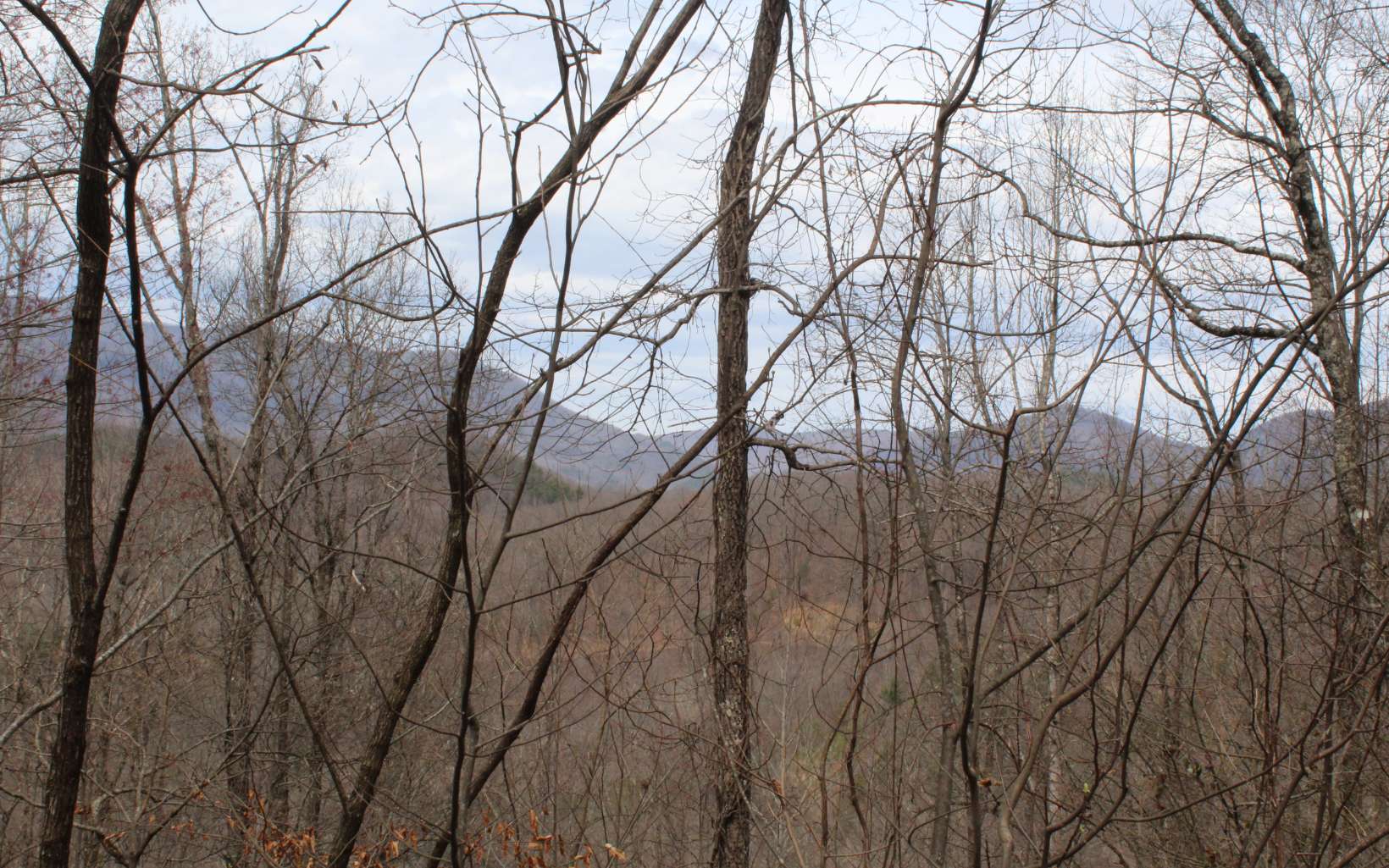 1&1A N Ridge High Meadows