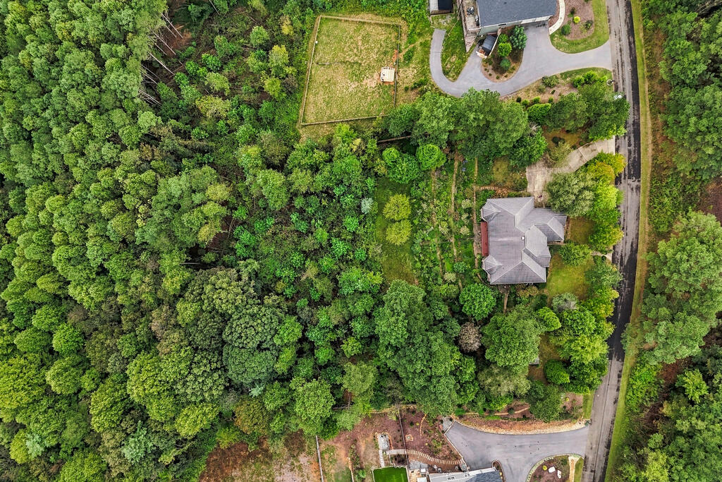 100 Fox Paw Leaf Court