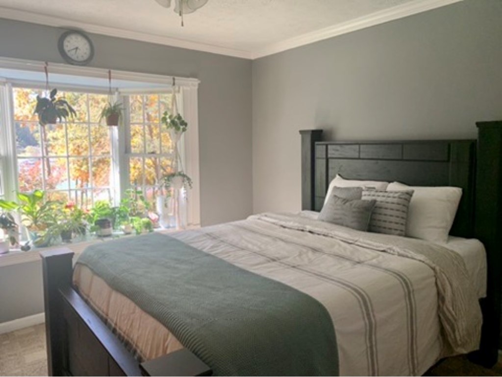 549 Sneaking Creek Drive