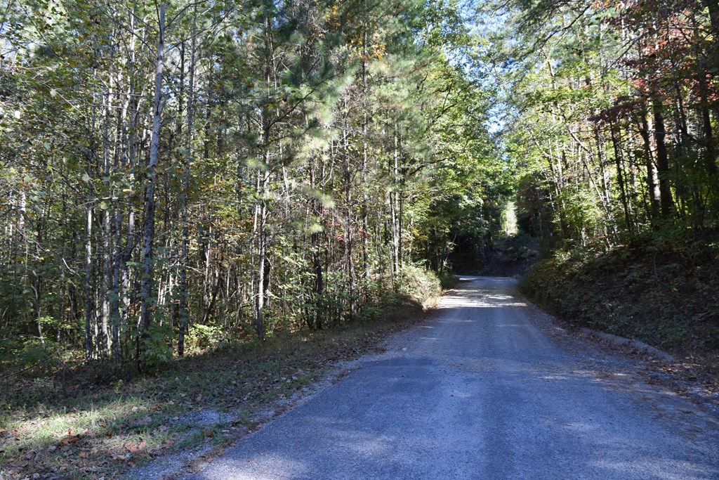 32.98 Ac Zion Hill Road