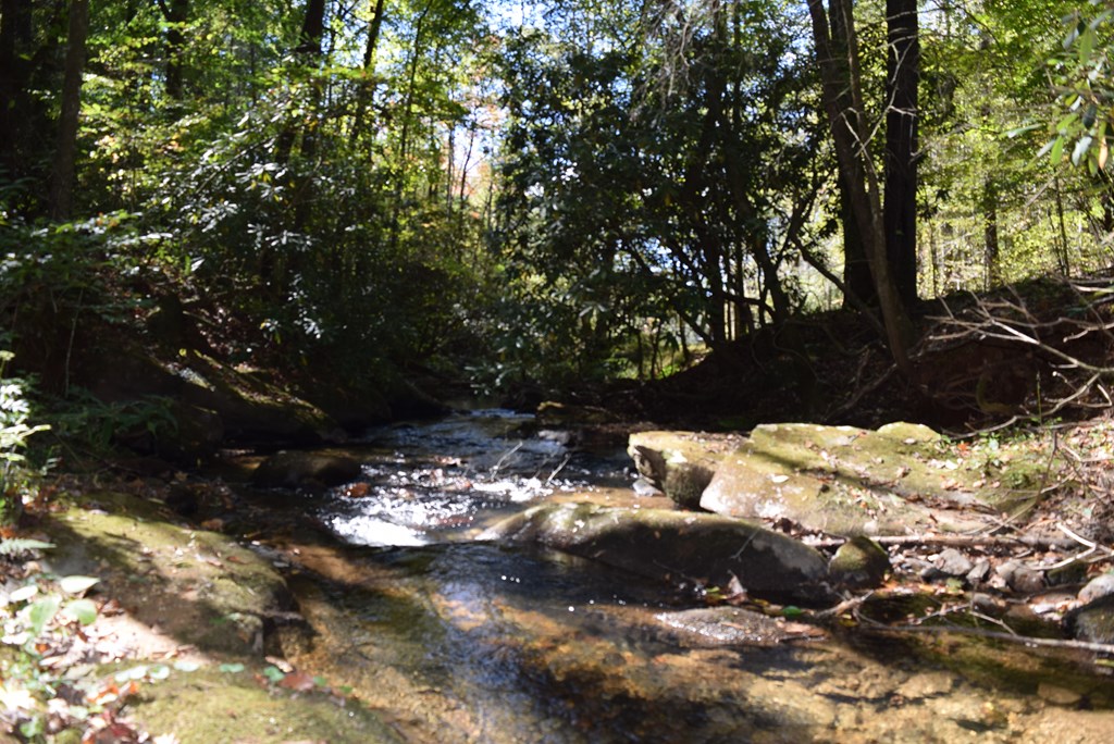 32.98 Ac Zion Hill Road