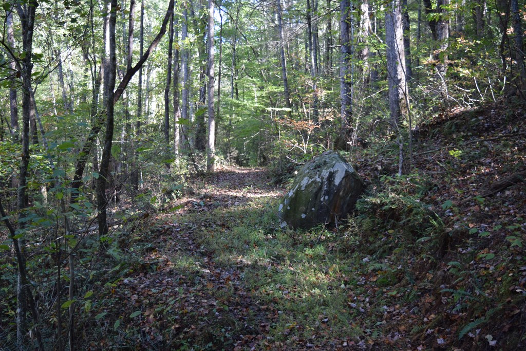 32.98 Ac Zion Hill Road