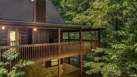 A home in Mineral Bluff