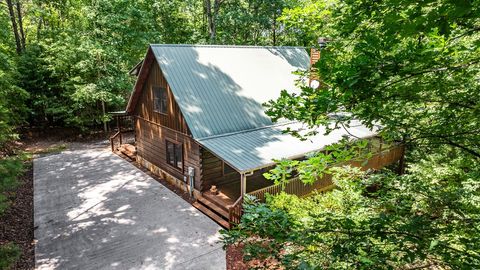 A home in Mineral Bluff