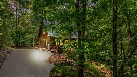 A home in Mineral Bluff