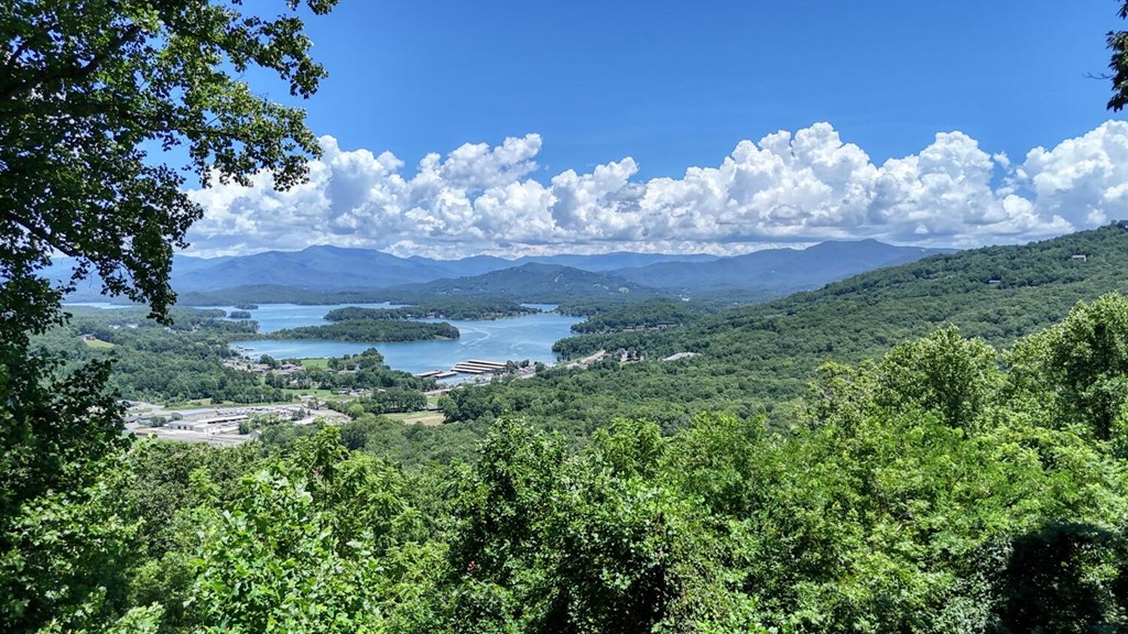 980 Mining Gap Trail