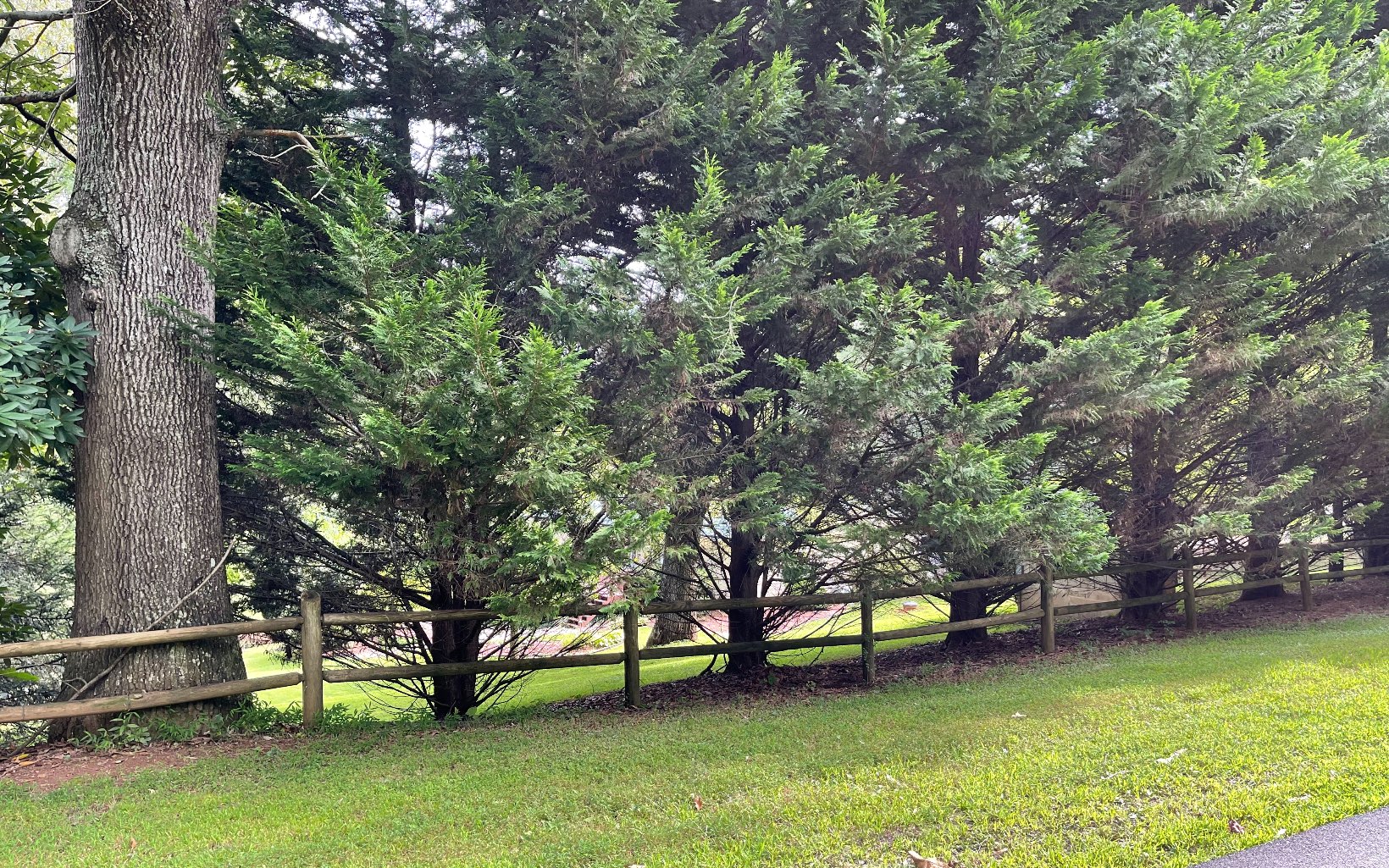 Lot 27 Sneaking Creek Drive